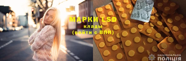 spice Богородицк