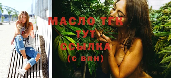 spice Богородицк