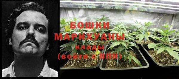 spice Богородицк