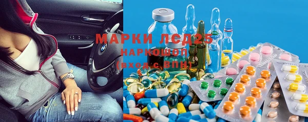 spice Богородицк