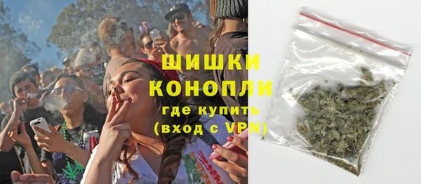 прущие грибы Бородино