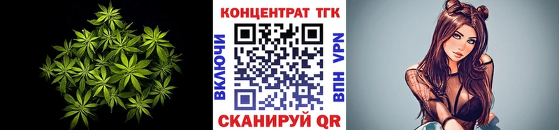 цена   Будённовск  MEGA ТОР  ТГК концентрат 