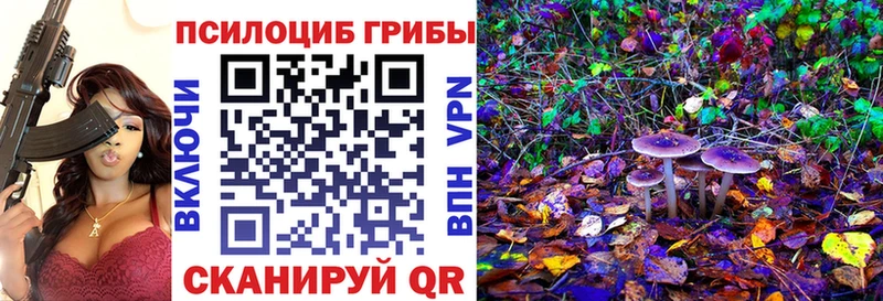 купить закладку  Будённовск  Галлюциногенные грибы прущие грибы 